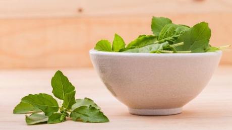 Top Benefits of Holy Basil / Tulsi for Health, Hair and Skin