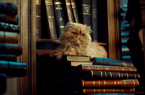 Reading Lists for the Hogwarts Houses