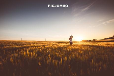 9 Awesome Free Stock Photography Sites for Bloggers