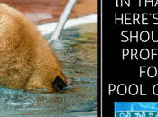 Should Hire Professional Your Pool Care Needs!