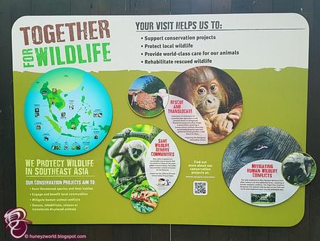Help TURN Things Around For Wildlife #TogetherforWildlife