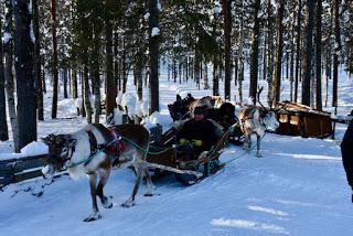 Adventures in Arctic Europe Part 2: Finland
