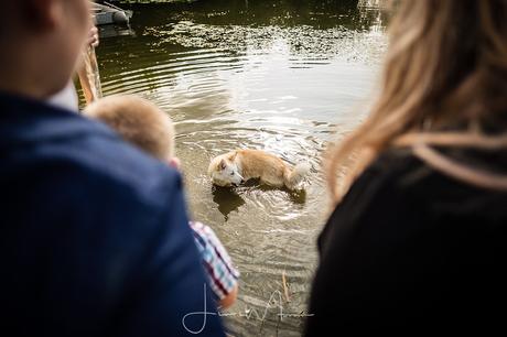 Festival Wedding Photographer