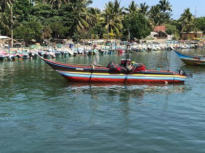 Sri Lanka: Pearl of the Indian Ocean, Part I, Guest Post by Gretchen Woelfle