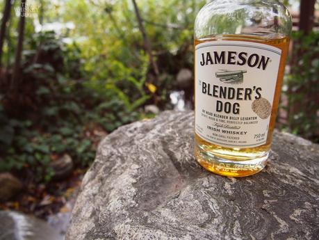 Jameson Blender's Dog