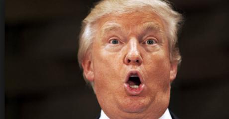 Image result for stupid trump