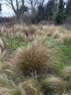 Signs of Spring - the annual Prairie Haircut