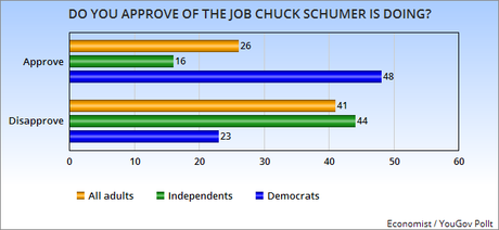 Is Nancy Pelosi Really A Problem For Democrats ?