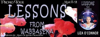 Promo Tour: Lessons from Wabbaseka by Liza O'Connor