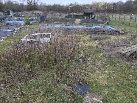 Back To The Magical World Of Allotments