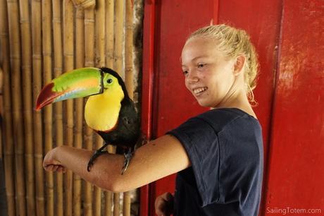 girl holding a toucan