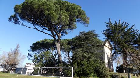 Exploring unusual sights on the Bordeaux University campus in Talence and Pessac