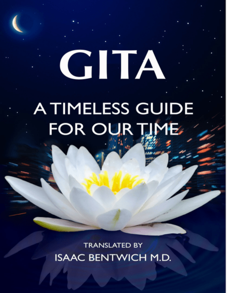 Gita A Timeless Guide From Action To Devotion To Wisdom #BookReview