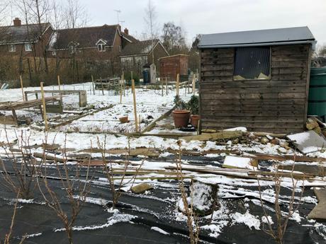 Allotment Snooping In The Snow