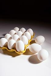 eggs