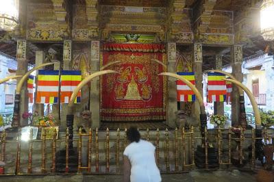 SRI LANKA: Pearl of the Indian Ocean, Part II, Guest Post by Gretchen Woelfle