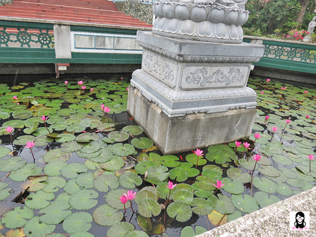 Fish pond in Lon Wa Buddhist Temple Davao City | Blushing Geek