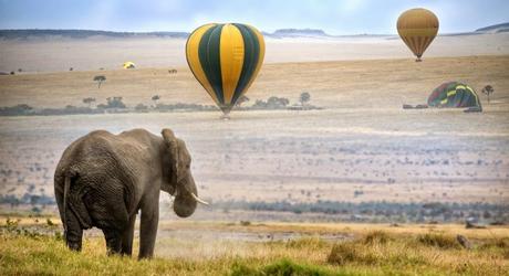 Kenya or Tanzania: Which wilderness safari is the one for you?