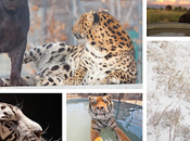 Wild Animal Sanctuary Adds 9,004 Acres Colorado Operation