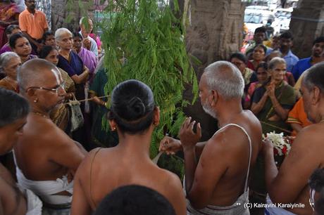 Chipko movement is Google doodle of the day