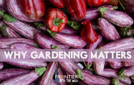 Why Gardening Matters Why Gardening Matters