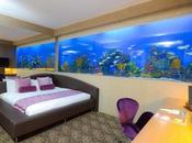 Make Your Trip Philippines Enjoyable With Bizarre Hotels!