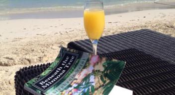 An Updated Trailer for Beneath the Mimosa Tree An Updated Trailer for Beneath the Mimosa Tree