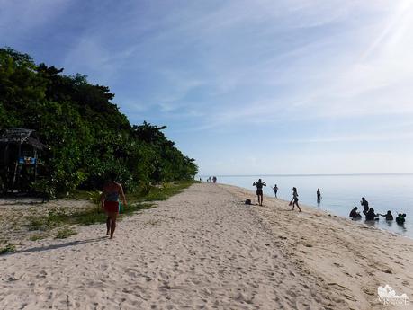 Beach in Canigao Island