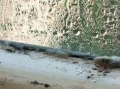 Reduce Dampness Condensation Your Home