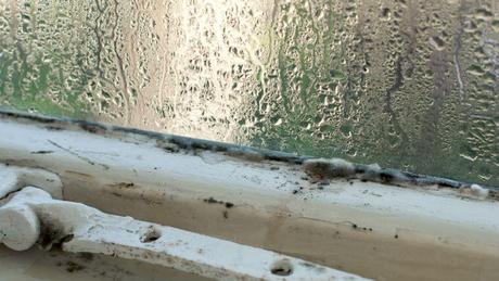 How To Reduce Dampness And Condensation In Your Home
