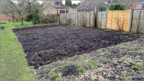 Potato-planting at the new plot