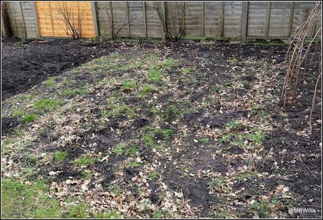 Potato-planting at the new plot