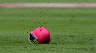 Velaikaran fly ~ bee causes de Kock's missed stumping at Johannesburg Test