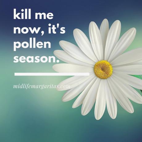 Pollen Season is Interfering with My Margarita Season.