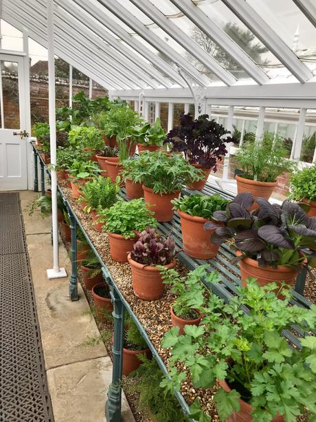 West Dean Gardens Victorian Glasshouses