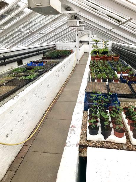 West Dean Gardens Victorian Glasshouses