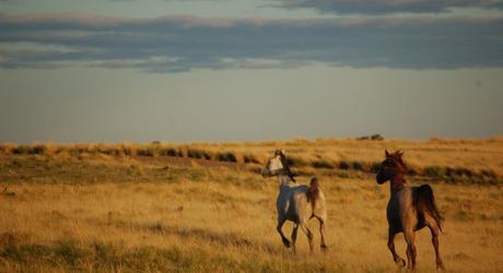 Our Top 10 Haciendas And Estancias In Argentina, Chile and Uruguay