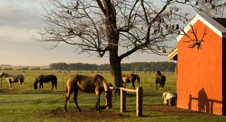 Our Top 10 Haciendas And Estancias In Argentina, Chile and Uruguay