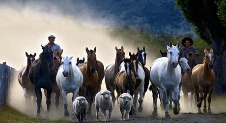 Our Top 10 Haciendas And Estancias In Argentina, Chile and Uruguay