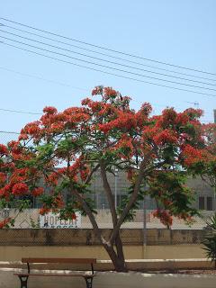 What is there not too love ♥--- Qrendi in Malta