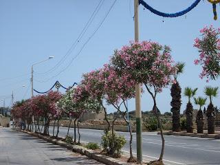 What is there not too love ♥--- Qrendi in Malta