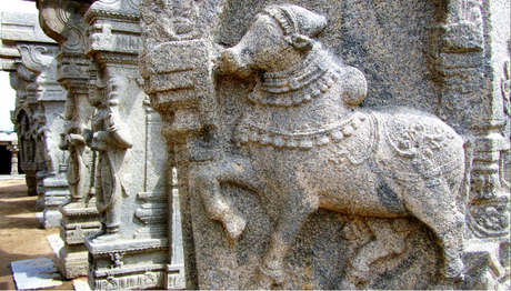 A Nandi carved on one of the pillars