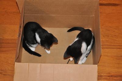 Five Years Ago . . .