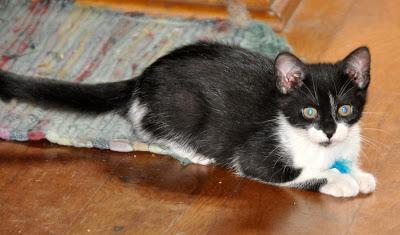 Five Years Ago . . .