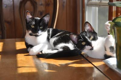 Five Years Ago . . .