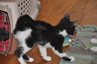 Five Years Ago . . .