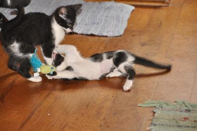 Five Years Ago . . .