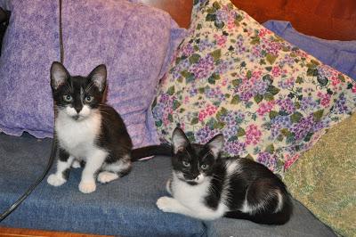 Five Years Ago . . .