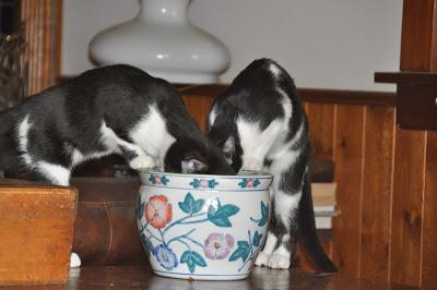 Five Years Ago . . .