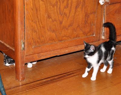 Five Years Ago . . .